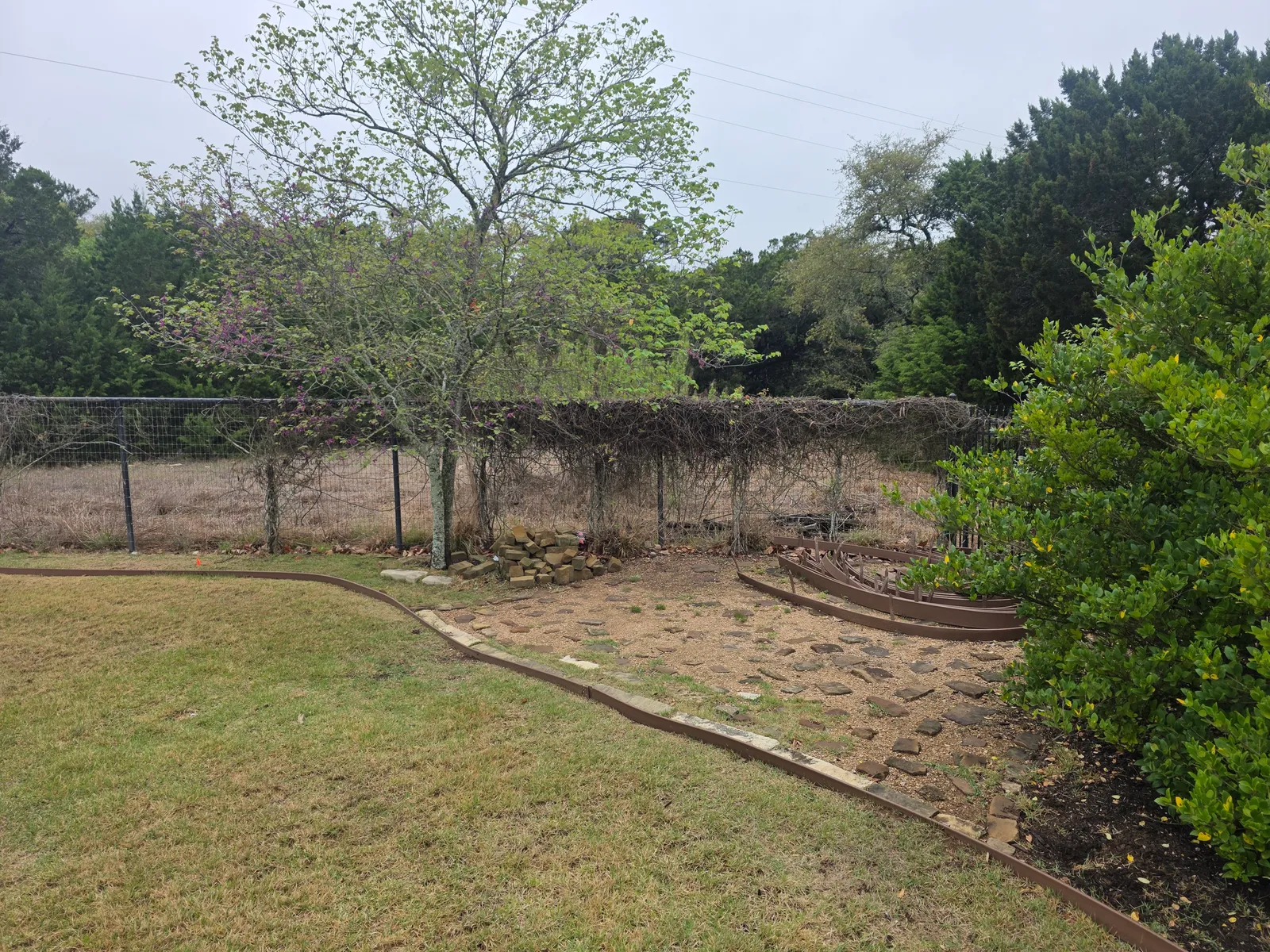 Existing backyard lawn and stepping-stone path before landscape renovation
