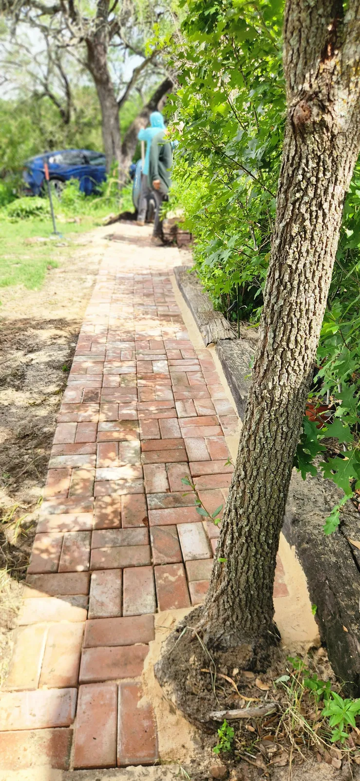 Brick garden pathway built around a mature tree