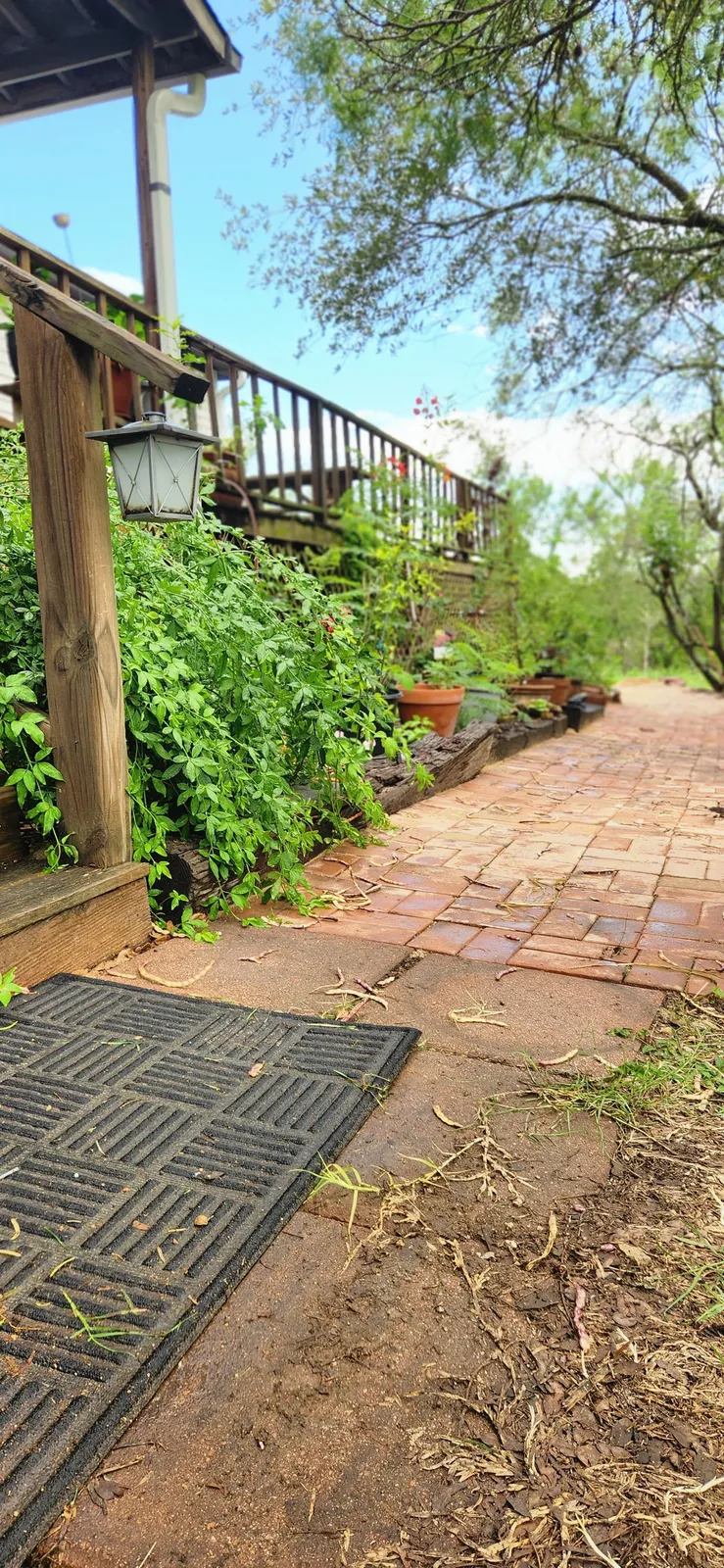 Shaded brick patio framed by established planting