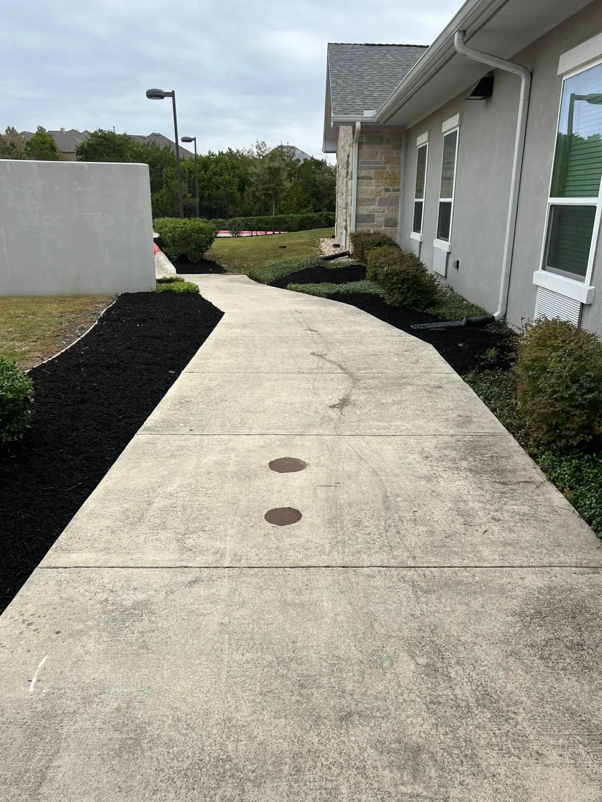 Fresh black mulch along a residential entry walk