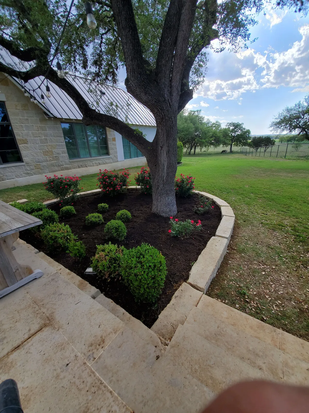Finished curved landscape bed framing a mature front-yard tree