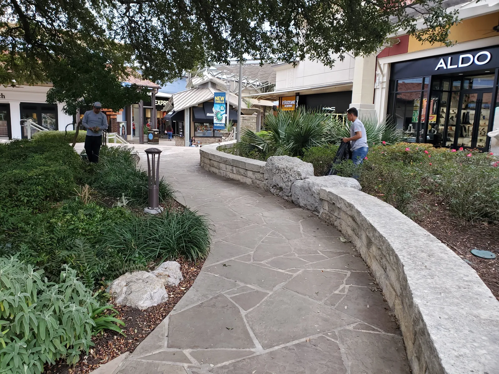 Curved commercial landscape bed with layered greenery