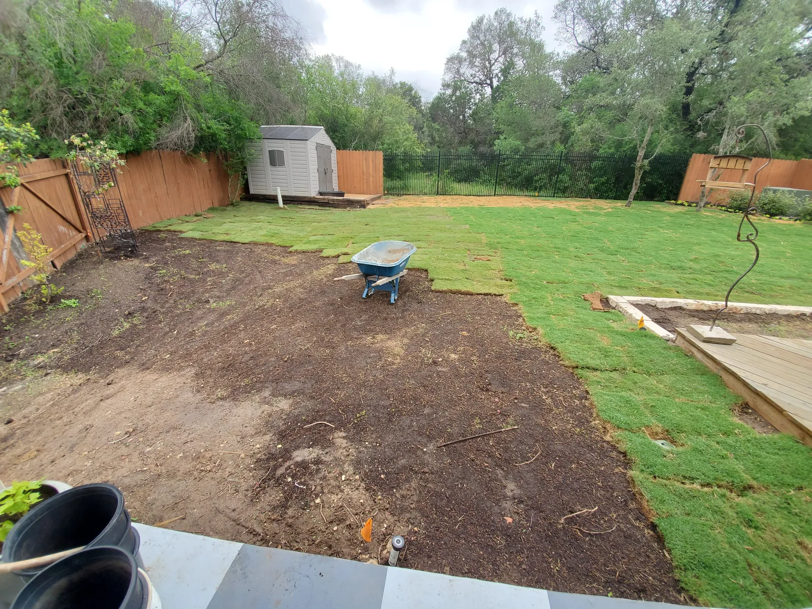 Newly installed backyard lawn