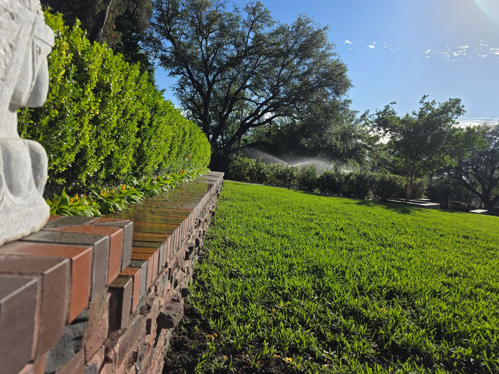 Finished green lawn bordered by a stacked-stone retaining wall and clipped hedges
